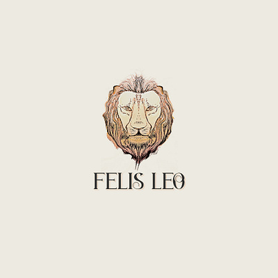 Felis Leo branding design drawing graphic design hand draw illustration logo vector