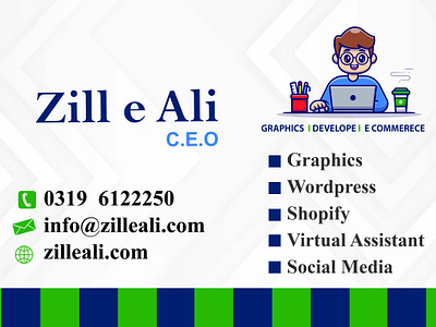 Web Designer & Graphics Designer: ZILL E ALI branding business card card company card developer zon graphic design visiting card zilleali