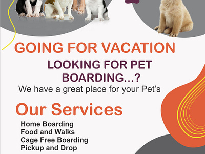 Pet Sitting Poster for Instagram pet poster poster design