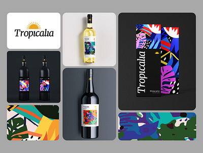 Tropicalia Branding branding graphic design ilustration logo packaging packagingdesign wine winelover