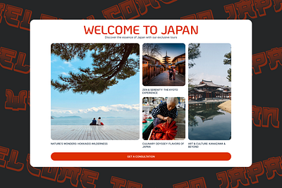 Exclusive Tours in Japan branding design homepage illustration japan landing tilda travel traveling ui ux website
