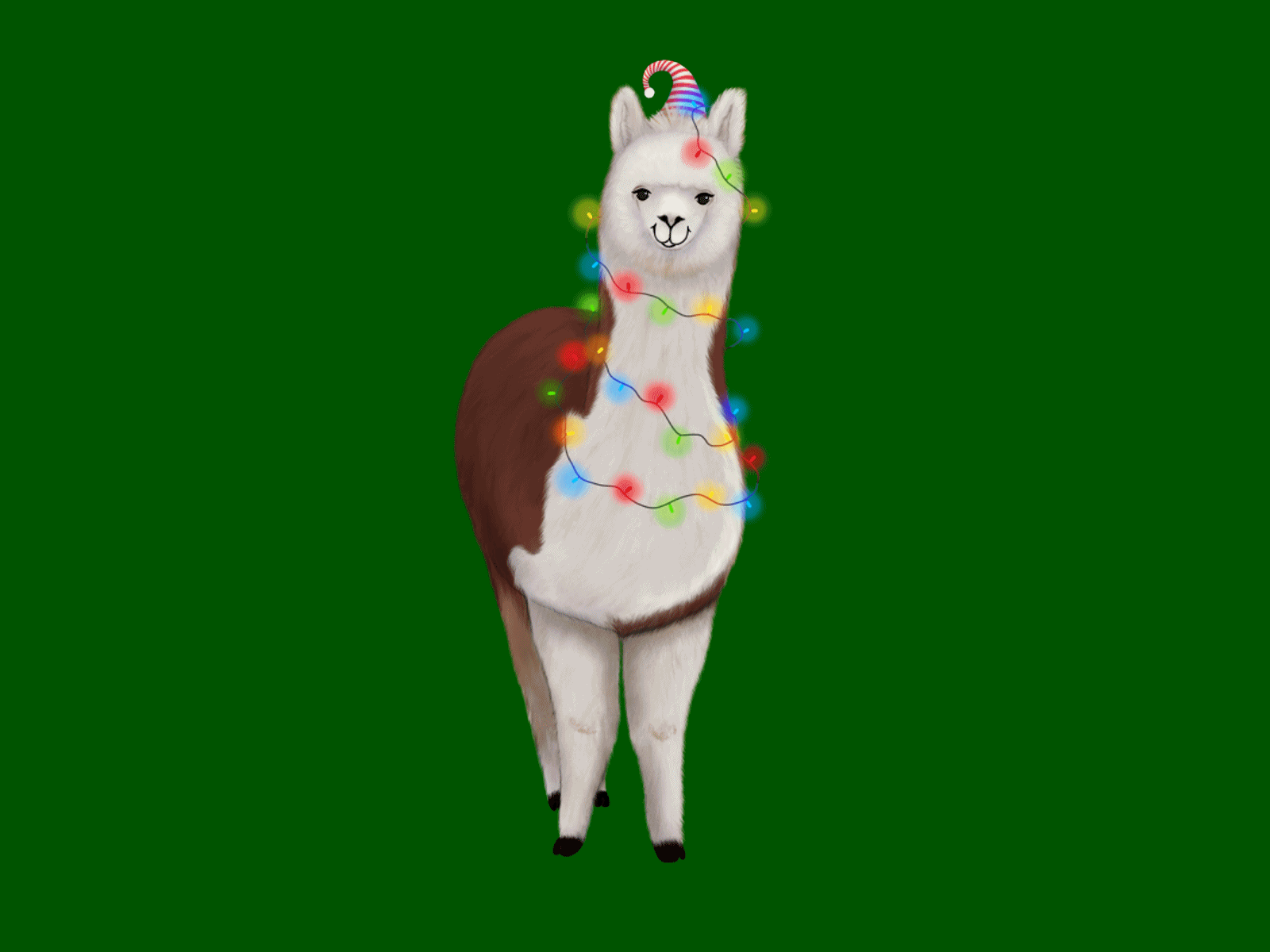 Example of Christmas Alpaca with string lights