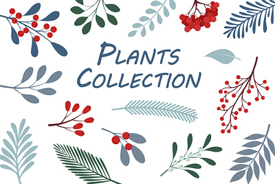 Winter Plants Collection collection