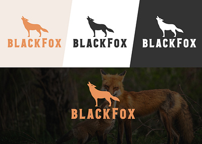 blackfox banding logo branding design graphic design illustration logo logo design motion graphics typography ui ux vector