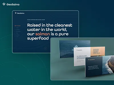 GeoSalmo branding design figma iceland illustration logo ui web