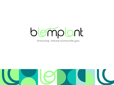 Blomplant: Logo - Branding - UI/UX app app design branding design dribbble flatdesign graphic design green identidad corporativa illustration logo logotipo marca nature ui vector