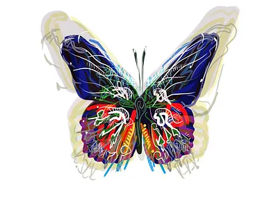 Butterfly art graphic design illustration procreate vector
