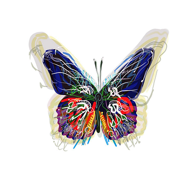 Butterfly art graphic design illustration procreate vector