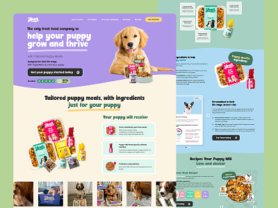 Landing Page Design for Dog Food Brand design figma landing page photoshop ui ui design ui ux web web design website website design