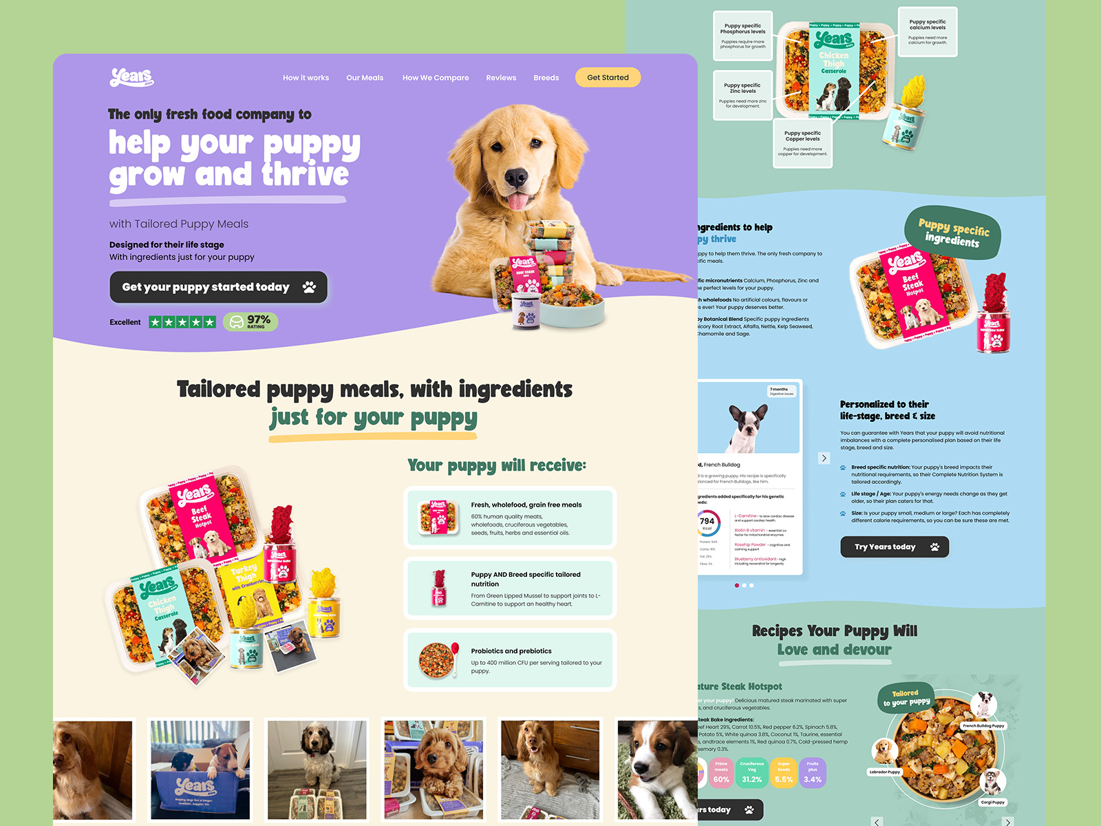 Example of Strategic Shopify Design & Cro