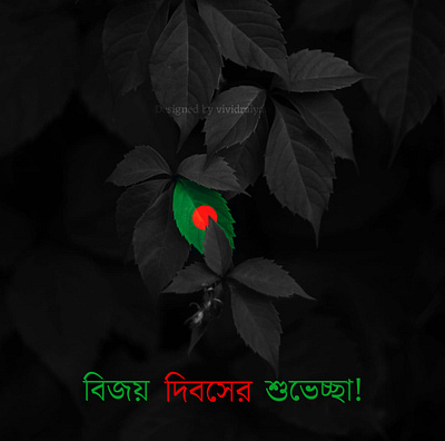 Victory Day Poster advertising bangla bangladesh banner december design graphic design illustration independence day poster social media victory day