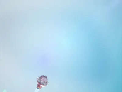 Flower 3d animation c4d cinema4d crystal flower morning motion graphics octane render sky