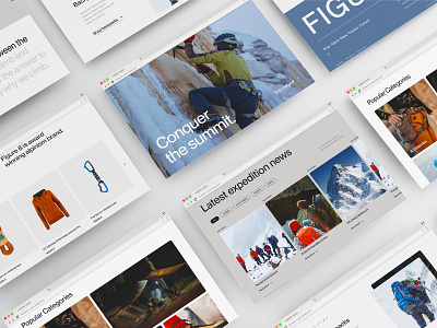 Figure 8 - alpinism gear website alpinism big type blue clean cold e commerce gear graphic design gray minimalism minimalistic modern sans serif shop shopping typography ui uiux web design winter