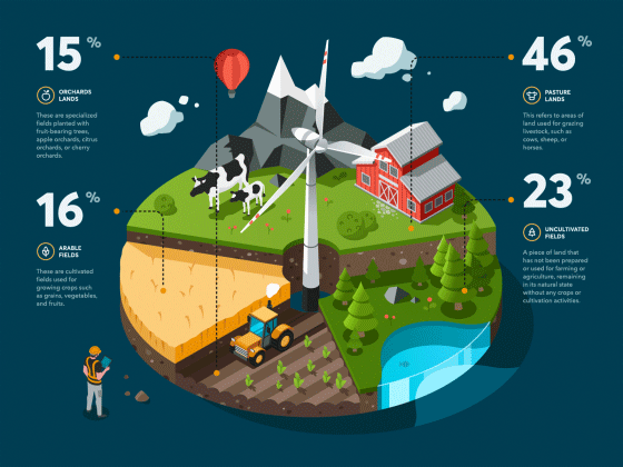 Agricultural Infographic Lottie Json Web Animation agricultural agriculture animation chart ecology farm field graph industry infographic infographics isometric json land lottie nature pie vector web windmill