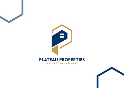 Modern Property Logo graphic design property