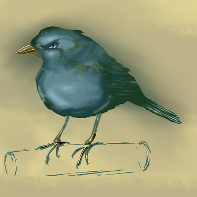 Angry bird adobe illustrator adobe photoshop angry bird birds digital 2d illustration