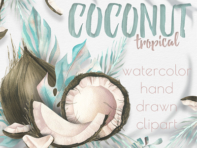 Coconuts, tropical leaves watercolor clip art fruit