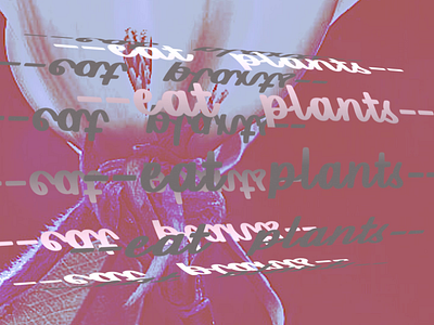 EAT PLANTS 3d 3d animation adobe after effect aesthetic animation animal friendly animated typography animation eat plants motion design motion graphics photo manipulation planet friendly plants vegan