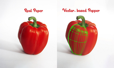 Gradient Mesh Bell Pepper 3d design fanshawe college graphic design illustration illustrator product design vector