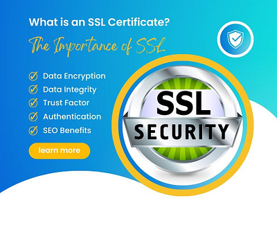 The Importance of SSL elementor mirmasuud ssl wordpress