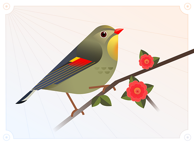 Birds & Flowers 20/24 Orange-flanked Bluetail bird graphic design illustrate illustration