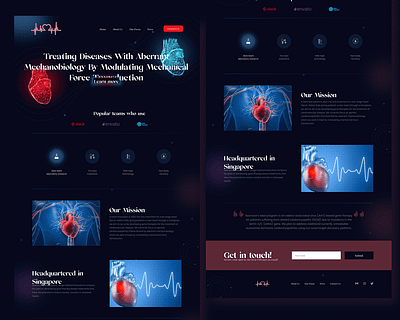Heart Transfer Website clinic website heart heart website website