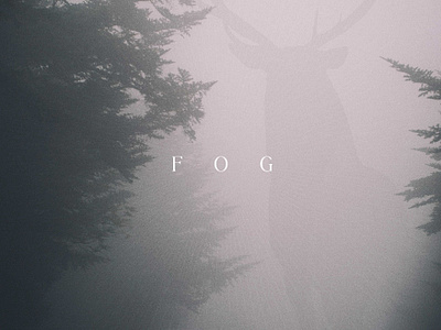 FOG affiche brouillard cerf design fog forest graphic design obscur obscurité poster