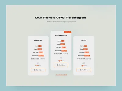 Pricing & Packages pricing packages ui ux vps web design