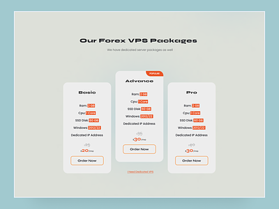 Pricing & Packages pricing packages ui ux vps web design