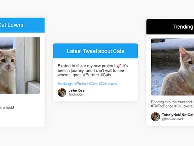 Social Media Examples app design cats media post social ui web design