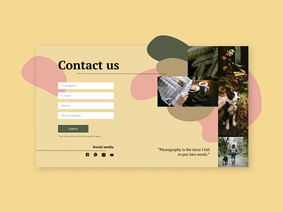 Daily UI : 028 Contact Us contact page contact us daily ui daily ui challenge flat minimal ui