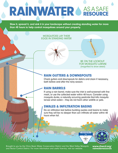 Infographic: Rainwater as a Safe Resource design graphic design illustration infographic mosquito rain swale water yard