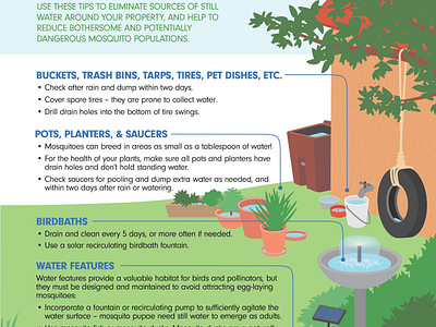 Infographic: Mosquito Control design graphic design illustration infographic mosquitos water yard