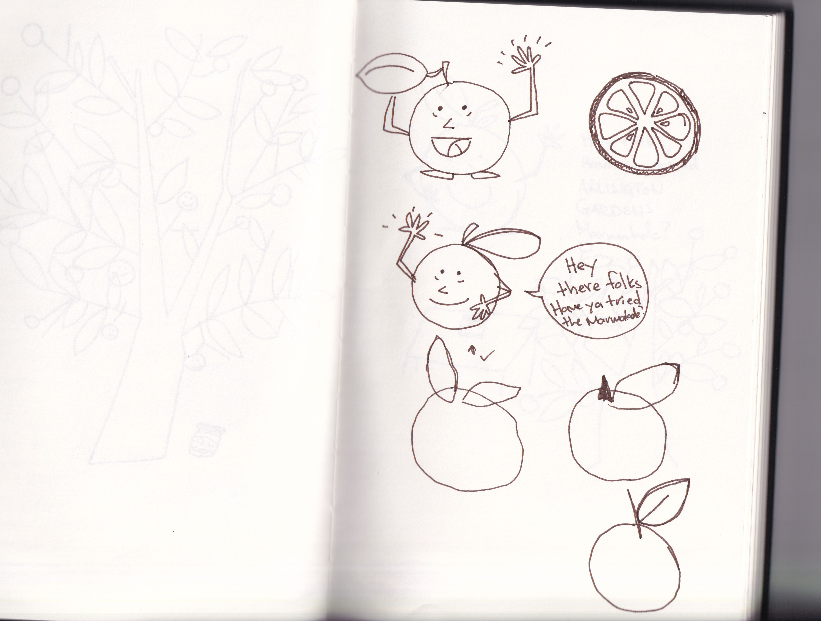 Arlington Garden Marmalade by Benin Marshall on Dribbble