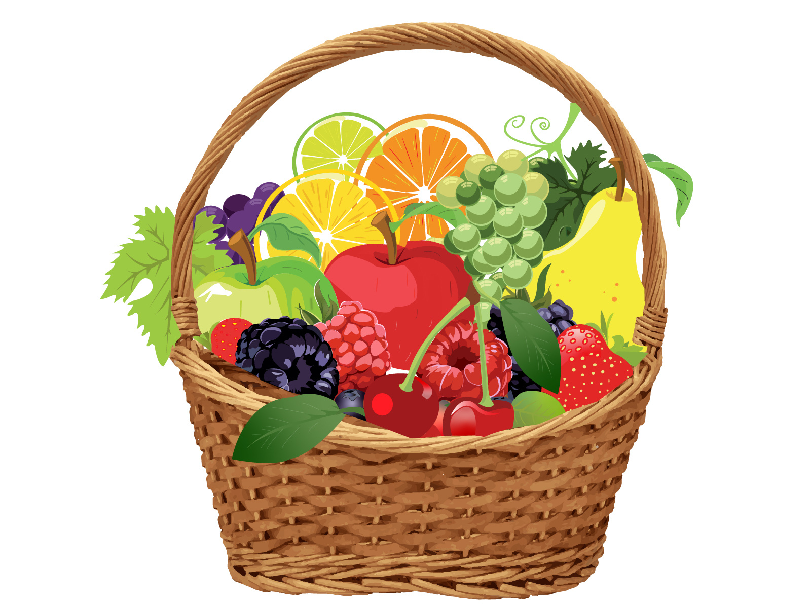 FRUIT BASKET IN ILLUSTRATION by Shubham Negi on Dribbble