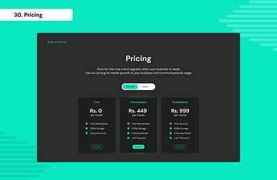 Daily UI Day 30 - Pricing 100 days ui daily ui day 30 graphic design pricing ui