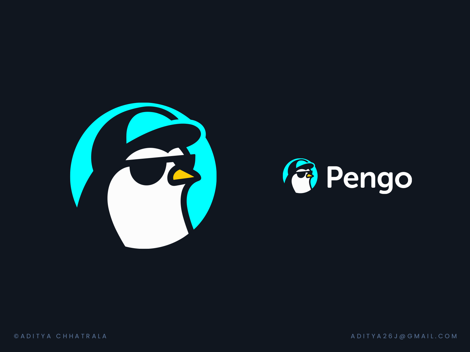 Penguin Logo Design / Pengo Travel Logo by Aditya Chhatrala on Dribbble