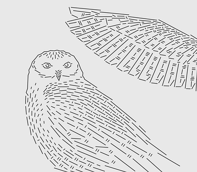 Owl black and white drawing illustration line minimal outline owl vector wing