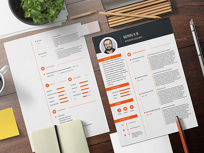 RESUME - Berin K B design graphic design resume