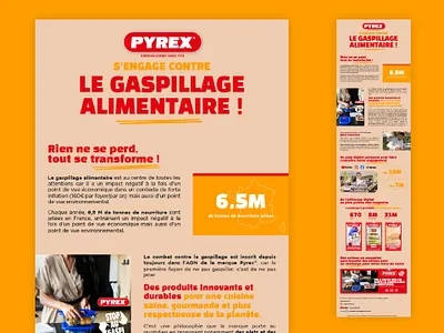Pyrex - Newsletter anti-gaspi freelance graphic design layout newsletter visual design