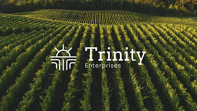 Trinity Enterprises Logo Design Agro-Industry branding graphic design logo