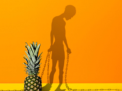 The shadow of labor art design graphic design photography photoshop pineapple shadow art studio photography