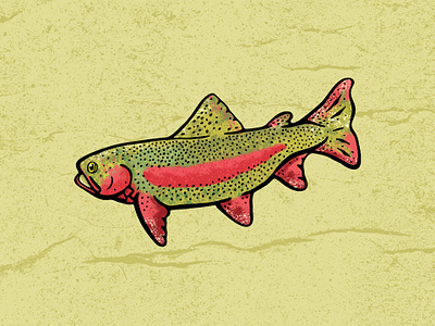 Redband animal camp color creek design fish flyfishing graphic design hike illustration limestone outdoor pink rainbow rainbowtrout red river shading trout water