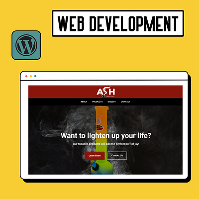 Web Development website wordpress