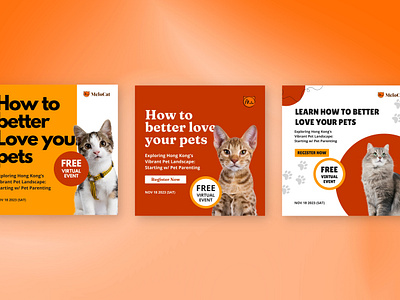 MeloCat | Google Ads ads branding design google ads graphic design pets social media