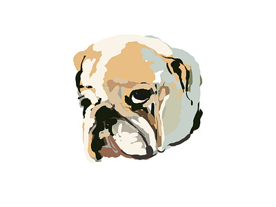 French Bulldog drawing dog illustration