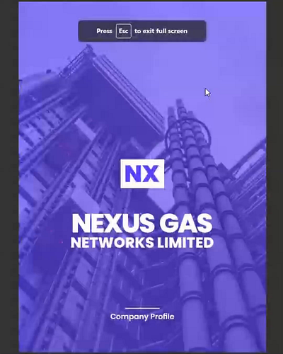 NEXUS COMPANY DESIGN branding design graphic design illustration minimalistic ui ux vector