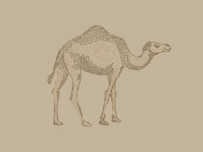 Camel abstract animals branding brown camel design graphic design illustration lines logo vector