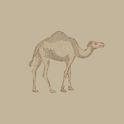Camel abstract animals branding brown camel design graphic design illustration lines logo vector