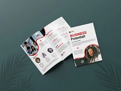 New Bi-fold brochure pamphlet